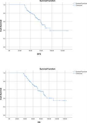 Patterns of Multimodality Management of Gastric Cancer—Single Institutional Experience of 372 Cases From a Tertiary Care Center in North India